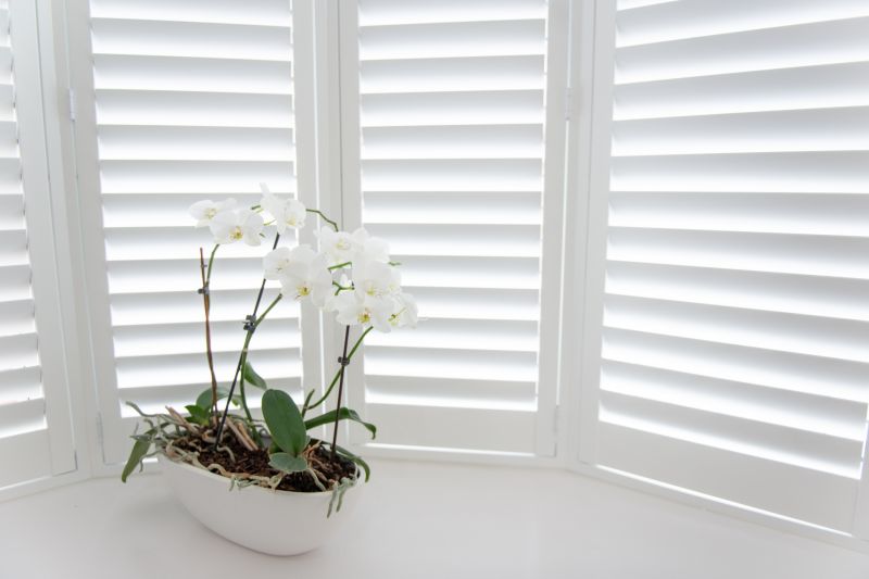 Louvered Shutters Installation in Olathe, KS
